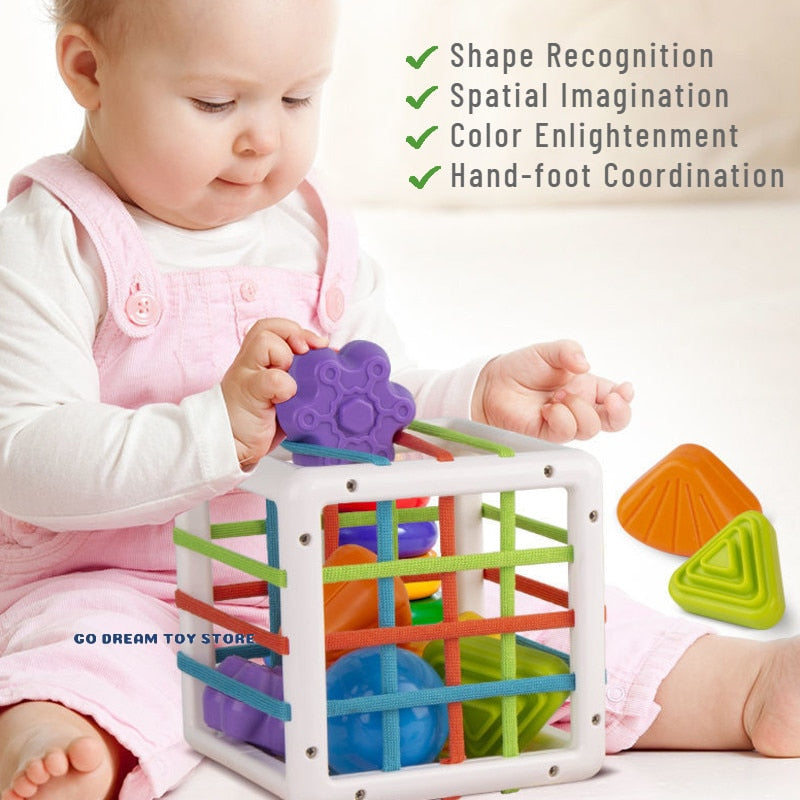 Colorful Shape Blocks Sorting Toys
