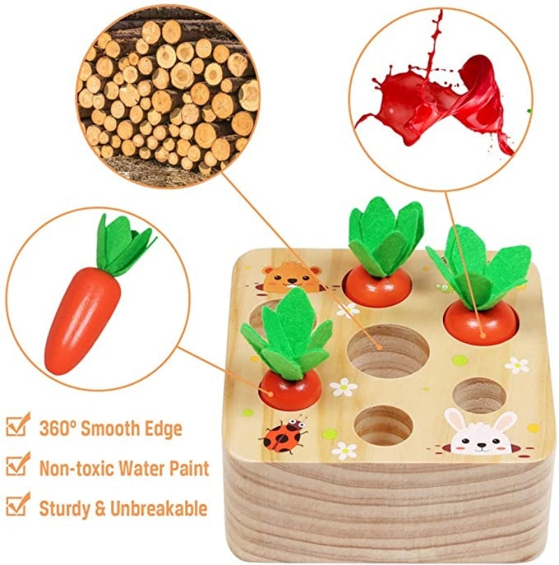 Pull Carrot Set Wooden Toy